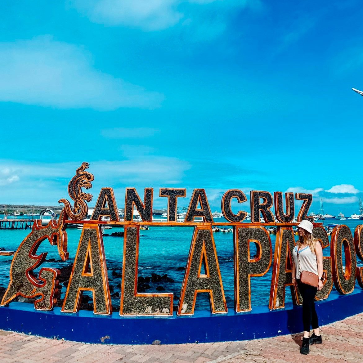 Santa Cruz Wonders Visiting Galapagos