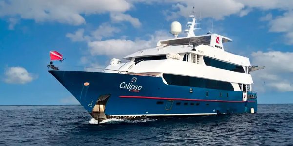 crucero calipso